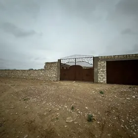 Satlyk  Akdaşda