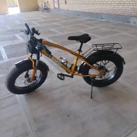 Sportiwni welik