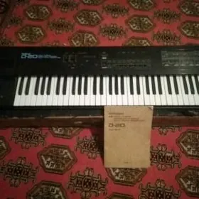 ROLAND D 20
