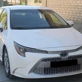 Toyota Corolla 2020