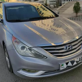 Hyundai Sonata 2010