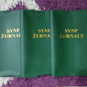 MEKDEP JURNALY DAŞ