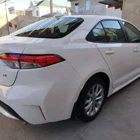 Toyota Corolla 2021