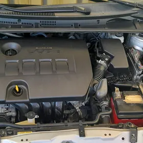 Toyota Corolla 2019