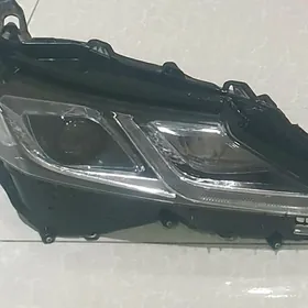 Camry Haliji fara 2018-2020ý.