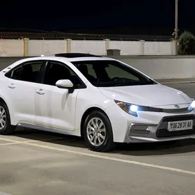 Toyota Corolla 2021