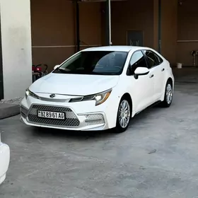 Toyota Corolla 2020