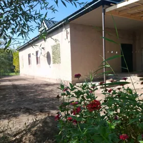 Satlyk Jaý