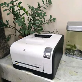 Printer HP CP1525n color