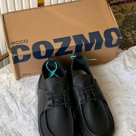 Ecco Cozmo