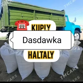 sement miti kerpiç pulpa şebin