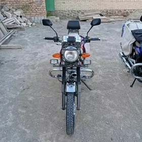 Fekon FK150-8G 2005