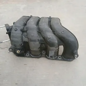 corolla pawuk