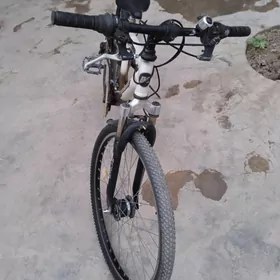 Welik Sportiwni