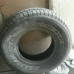 RADIAN