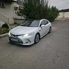 Toyota Camry 2019