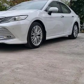 Toyota Camry 2019