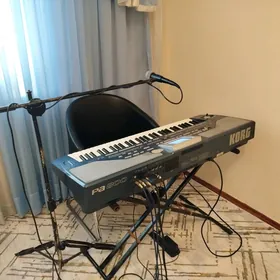 korg pa800