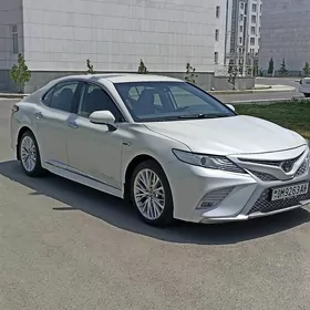 Toyota Camry 2019