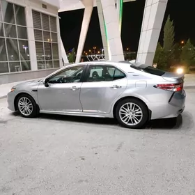 Toyota Camry 2020