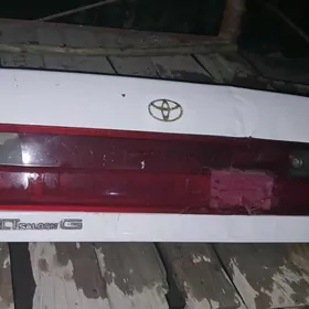 corona93 bagajy.öň poworotnik