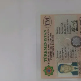 prawa bilen waýenniý bilet