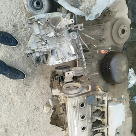 caryna Мator karopka