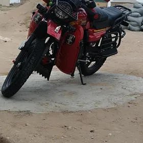 Fekon FK200-14G 2021