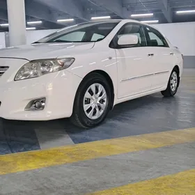 Toyota Corolla 2010