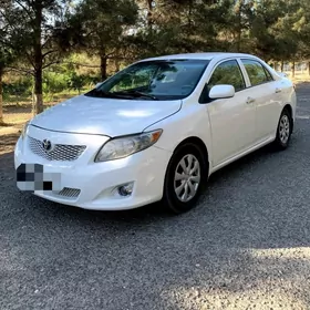 Toyota Corolla 2010