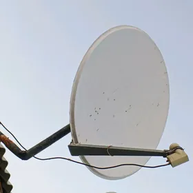Antena tarelka