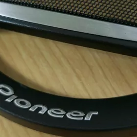 Pioneer kalonka setka