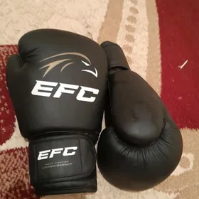 EFC PERCATKA