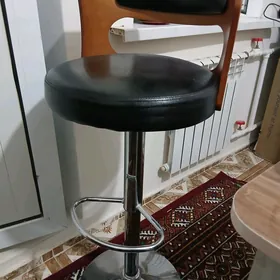 satylyk