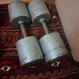 gantel