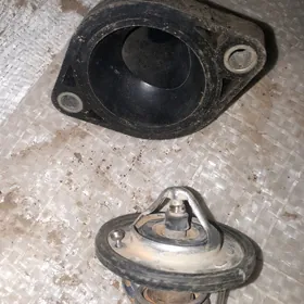Motor termostaty