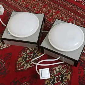 Bäsleşik enjam
