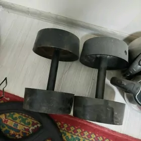 gantel 14 kg