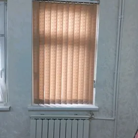 žalýuz 2 sany