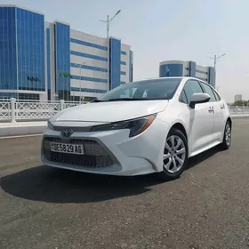 Toyota Corolla 2020