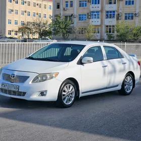Toyota Corolla 2010