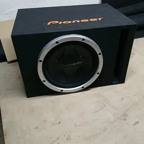 pioneer bocka
