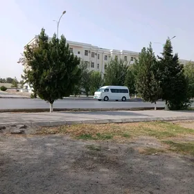 САТЛЫК ЖАЙ АНЕВ
