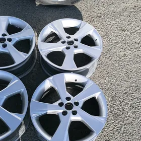 17 Karolla disga
