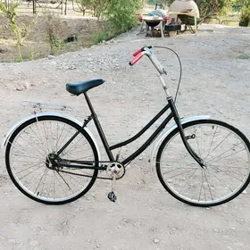 tigir 26lyk