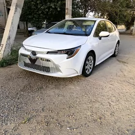 Toyota Corolla 2021