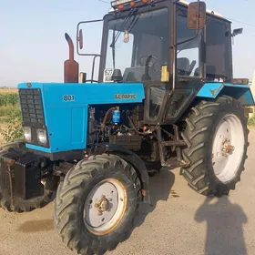 MTZ 82 2024