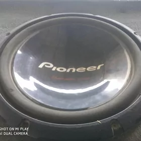 pioner bocka