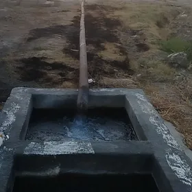 Ekin ýer