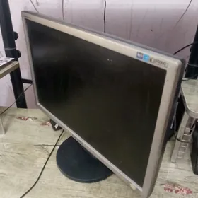 монитор и процессор